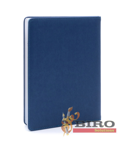 Agenda elevului IDEE albastru